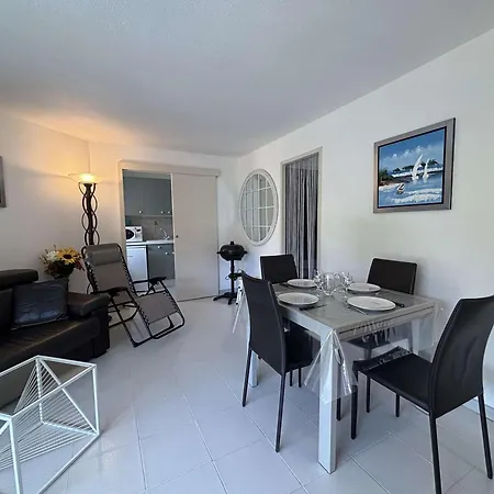 Climatise, Terrasse - 4 Pers. - Fr-1-226b-263 公寓